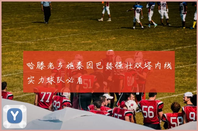 哈滕老乡施泰因巴赫强壮双塔内线实力球队必看